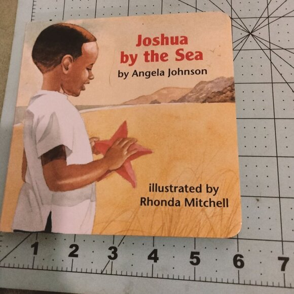 Joshua By The Sea Board Book Angela Johnson Illustrated Rhonda Mitchell - Picture 4 of 4